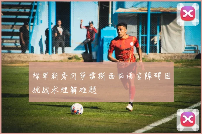 绿军新秀冈萨雷斯面临语言障碍困扰战术理解难题