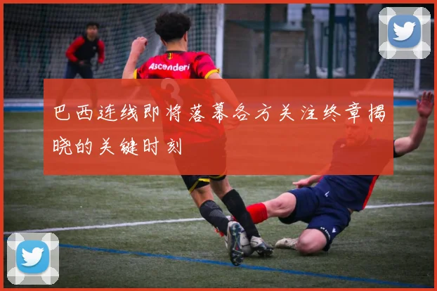 巴西连线即将落幕各方关注终章揭晓的关键时刻