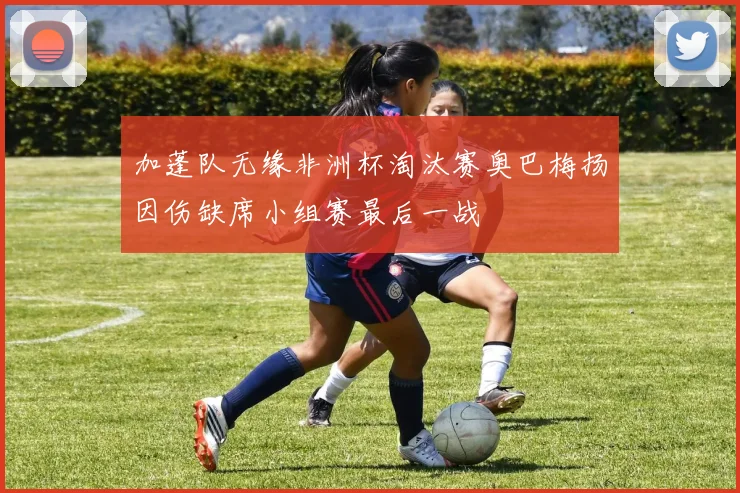 加蓬队无缘非洲杯淘汰赛奥巴梅扬因伤缺席小组赛最后一战