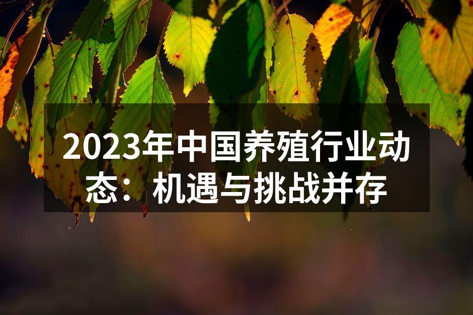 现代养殖设施提升养殖效率